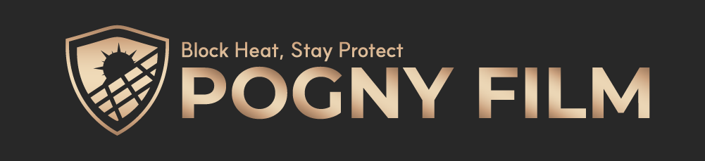 POGNY FILM